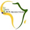 Eco Rice Production
